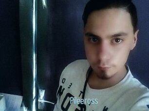 Pileeross
