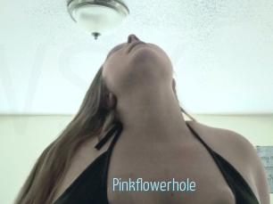 Pinkflowerhole