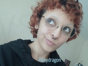 Pinkydragon
