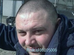 Pituliciul-06105006