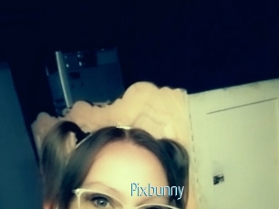 Pixbunny