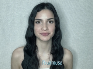 Pixelmuse