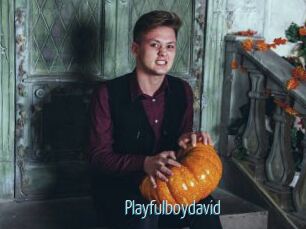 Playfulboydavid