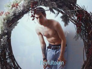 Playfultorvin
