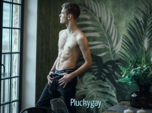 Pluckygay