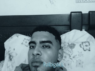 Pollbigdick