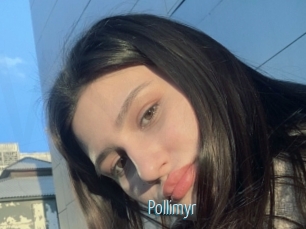 Pollimyr