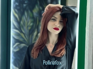 Pollinafox