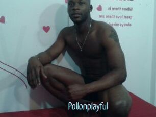 Pollonplayful