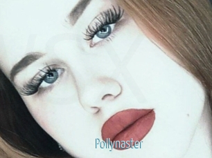 Pollynaster