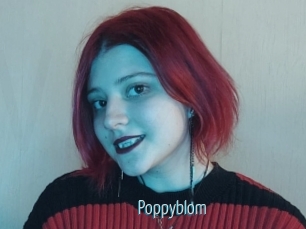 Poppyblom