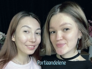 Portiaandelene