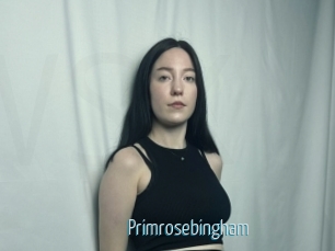 Primrosebingham