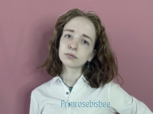 Primrosebisbee