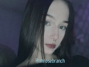 Primrosebranch