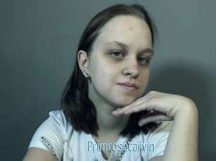 Primrosecarvin