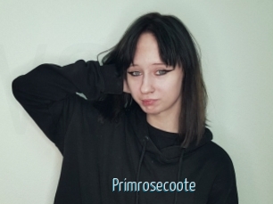 Primrosecoote
