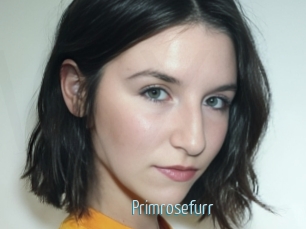 Primrosefurr