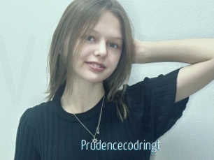 Prudencecodringt