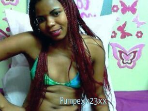 Pumpexx23xx