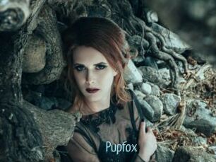 Pupfox