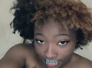 Puppy