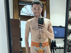 Pupstud