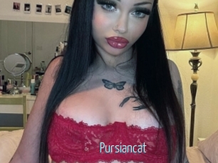 Pursiancat