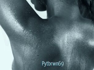 Pytbrwn69