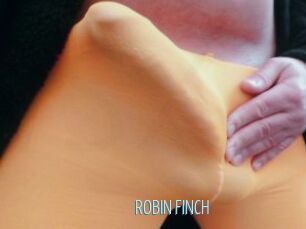 ROBIN_FINCH