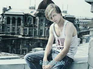 RabbitBlonde