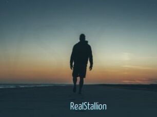 RealStallion