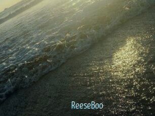 ReeseBoo
