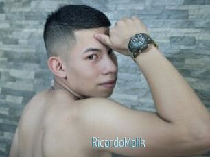 RicardoMalik