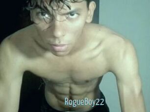 RogueBoy22