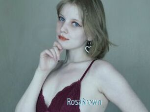 RosaBrown