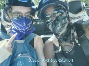 RussianfoxnBlackstallion