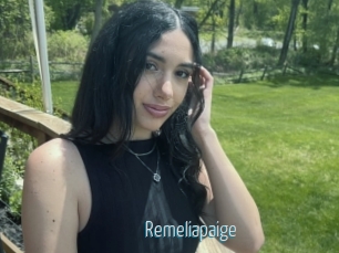 Remeliapaige