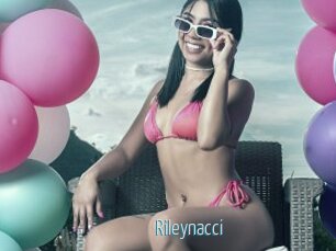 Rileynacci