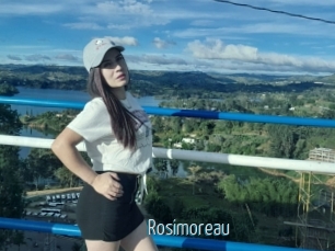 Rosimoreau