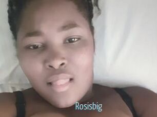 Rosisbig