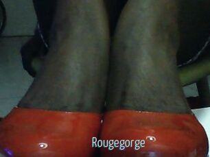 Rougegorge