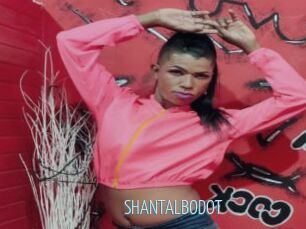 SHANTALBODOT