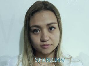 SOFIA_BIGCUMLW
