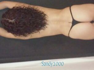 Sandy1000