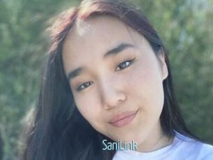 SaniLink