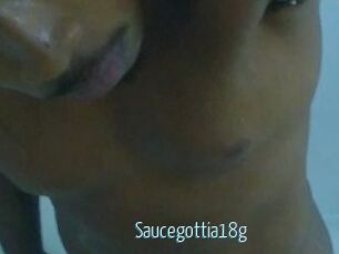 Saucegottia18g
