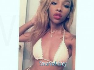 Savannah_Grey