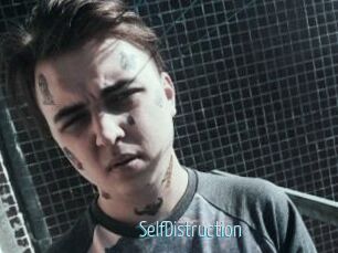 SelfDistruction
