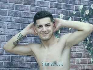ShaneBlack